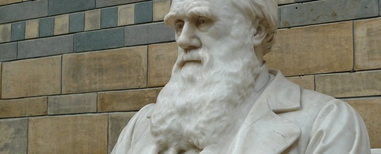 What is a Darwinist?